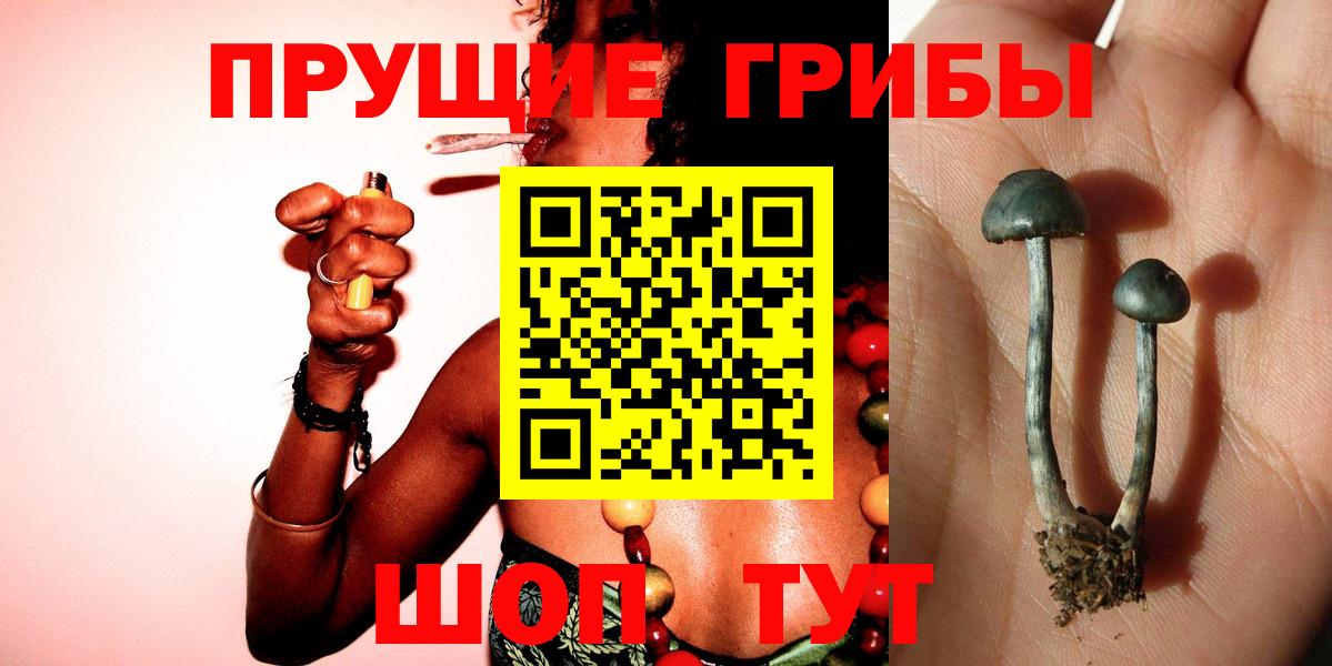 Галлюциногенные грибы мицелий Великий Новгород